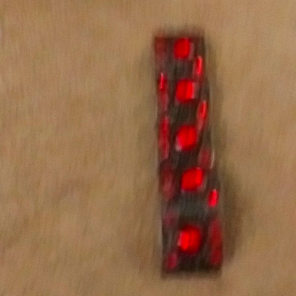 Either a bracelet or a watch band
